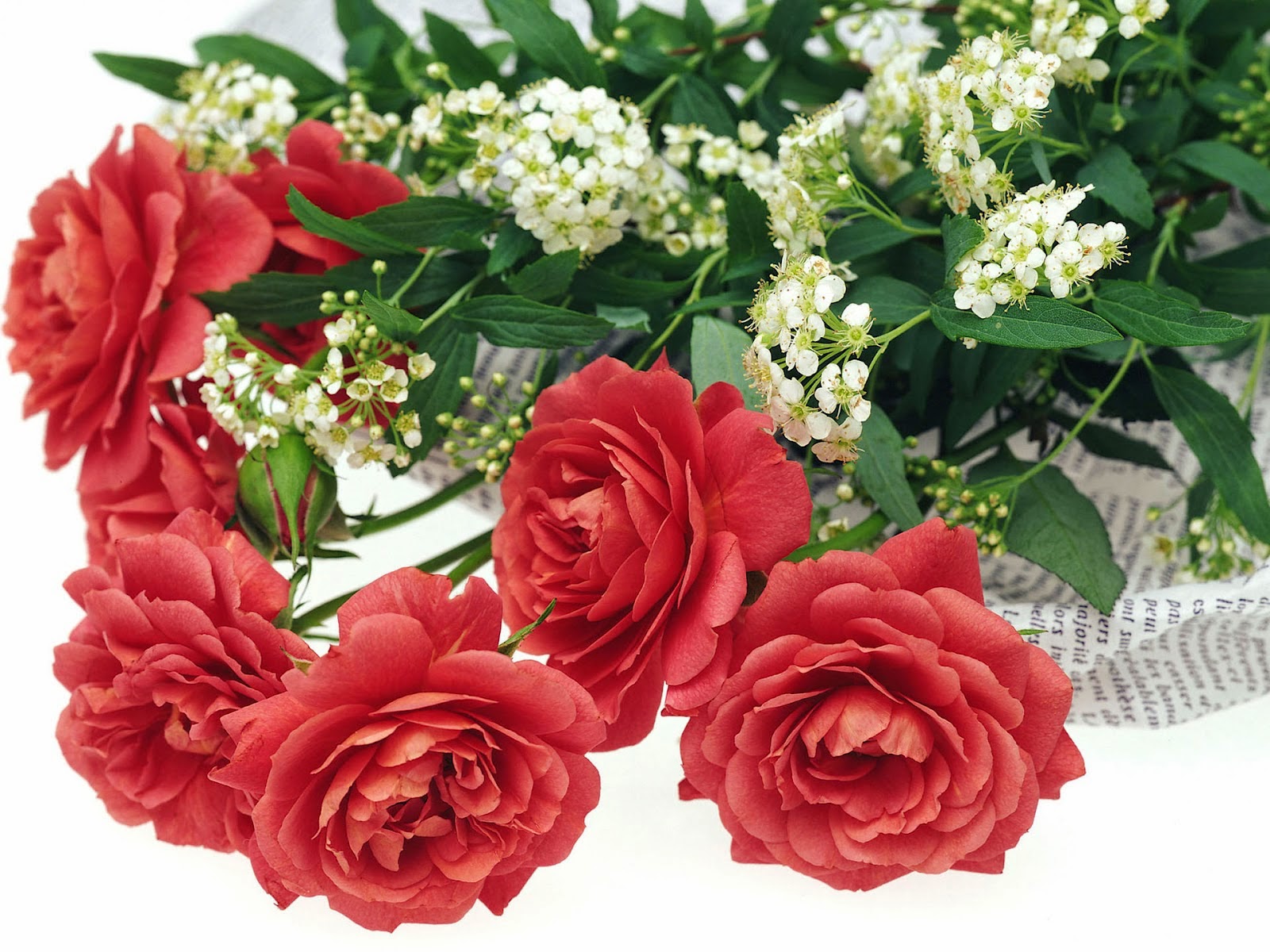 Kumpulan Gambar Bunga Romantis I Love You Animasi Kumpulan Gambar Bunga Romantis I Love You Animasi